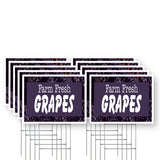 Farm Fresh Grapes