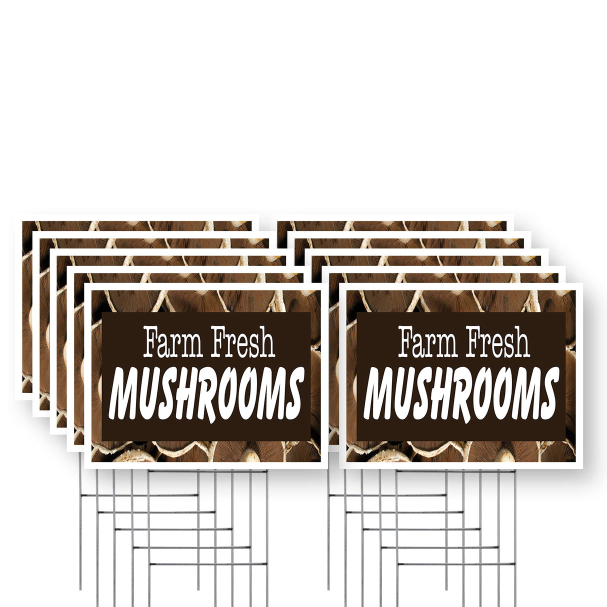 Farm Fresh Mushrooms