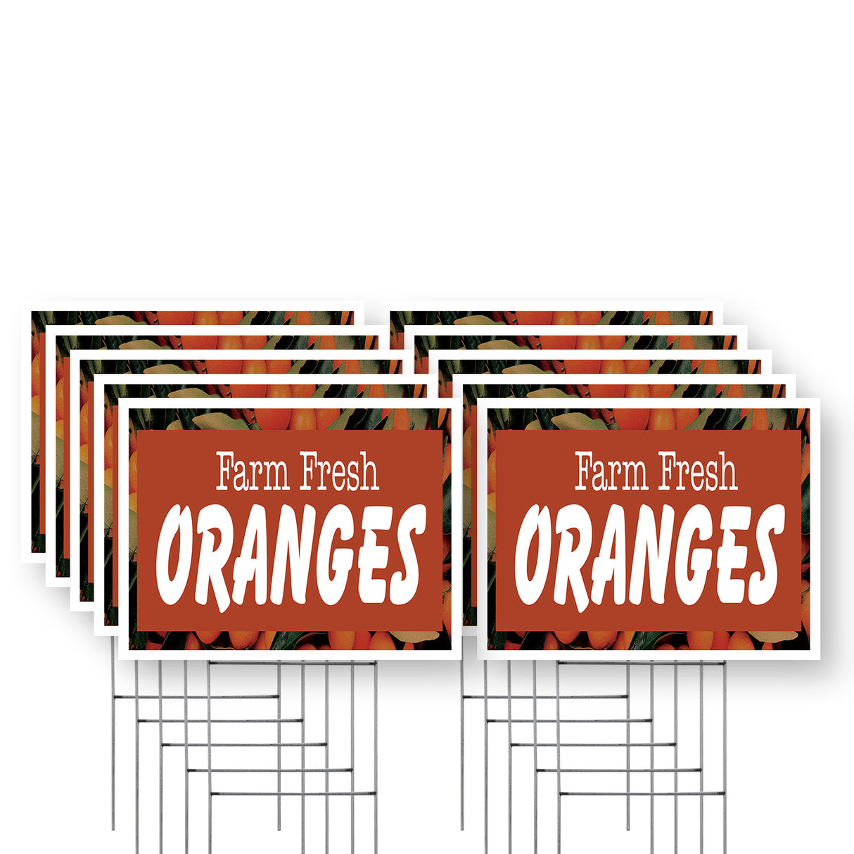 Farm Fresh Oranges
