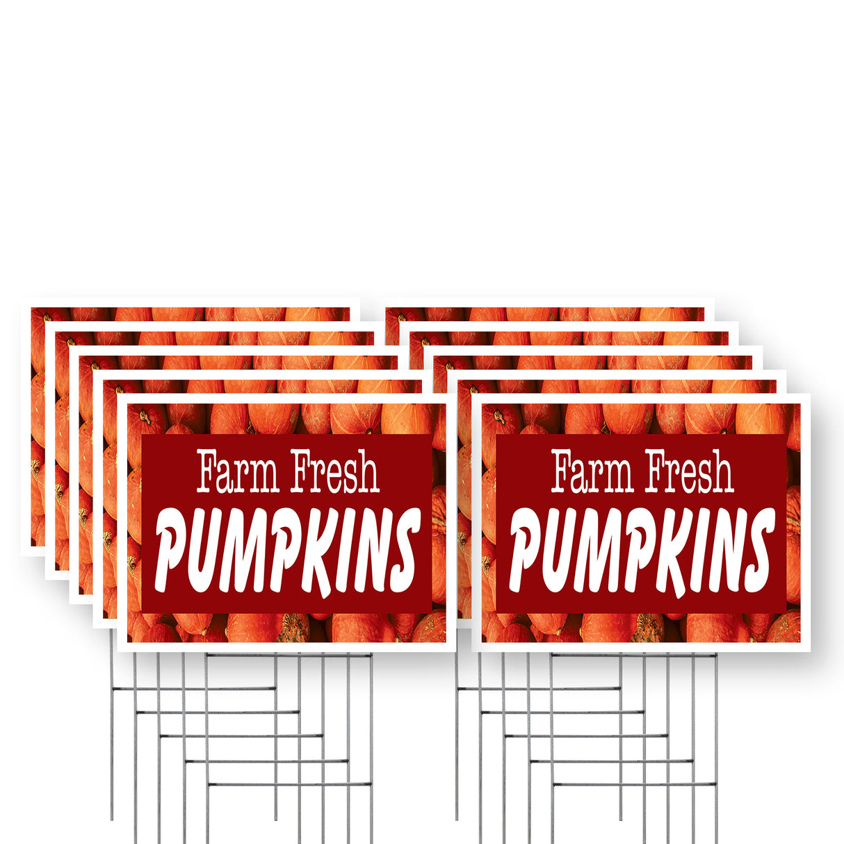 Farm Fresh Pumpkins