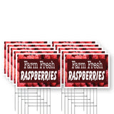 Farm Fresh Raspberries