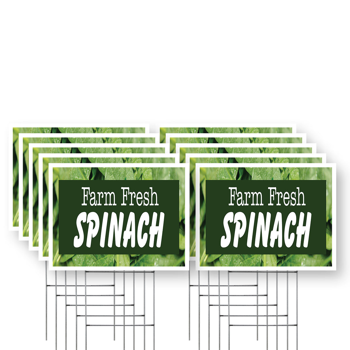 Farm Fresh Spinach