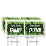 Farm Fresh Spinach