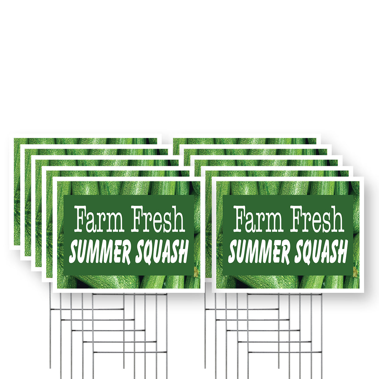 Farm Fresh Summer Squash