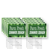Farm Fresh Summer Squash