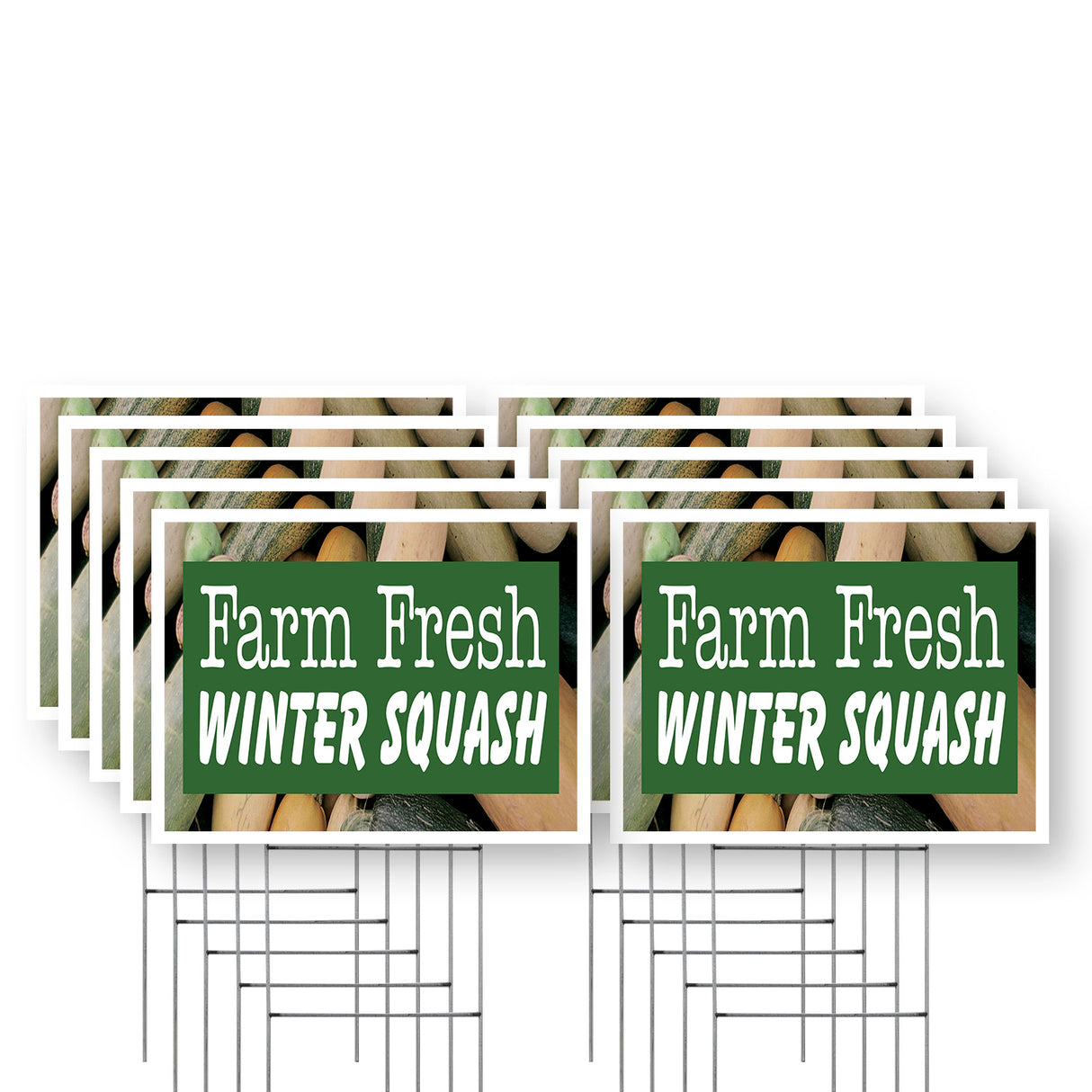 Farm Fresh Winter Squash