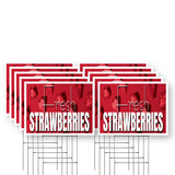 Fresh Strawberries