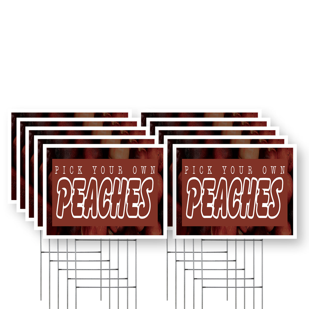 Pick Your Own Peaches
