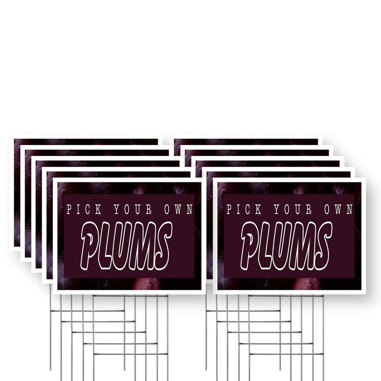 Pick Your Own Plums