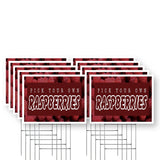 Pick Your Own Raspberries