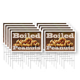 Boiled Peanuts