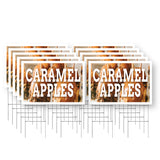 Caramel Apples