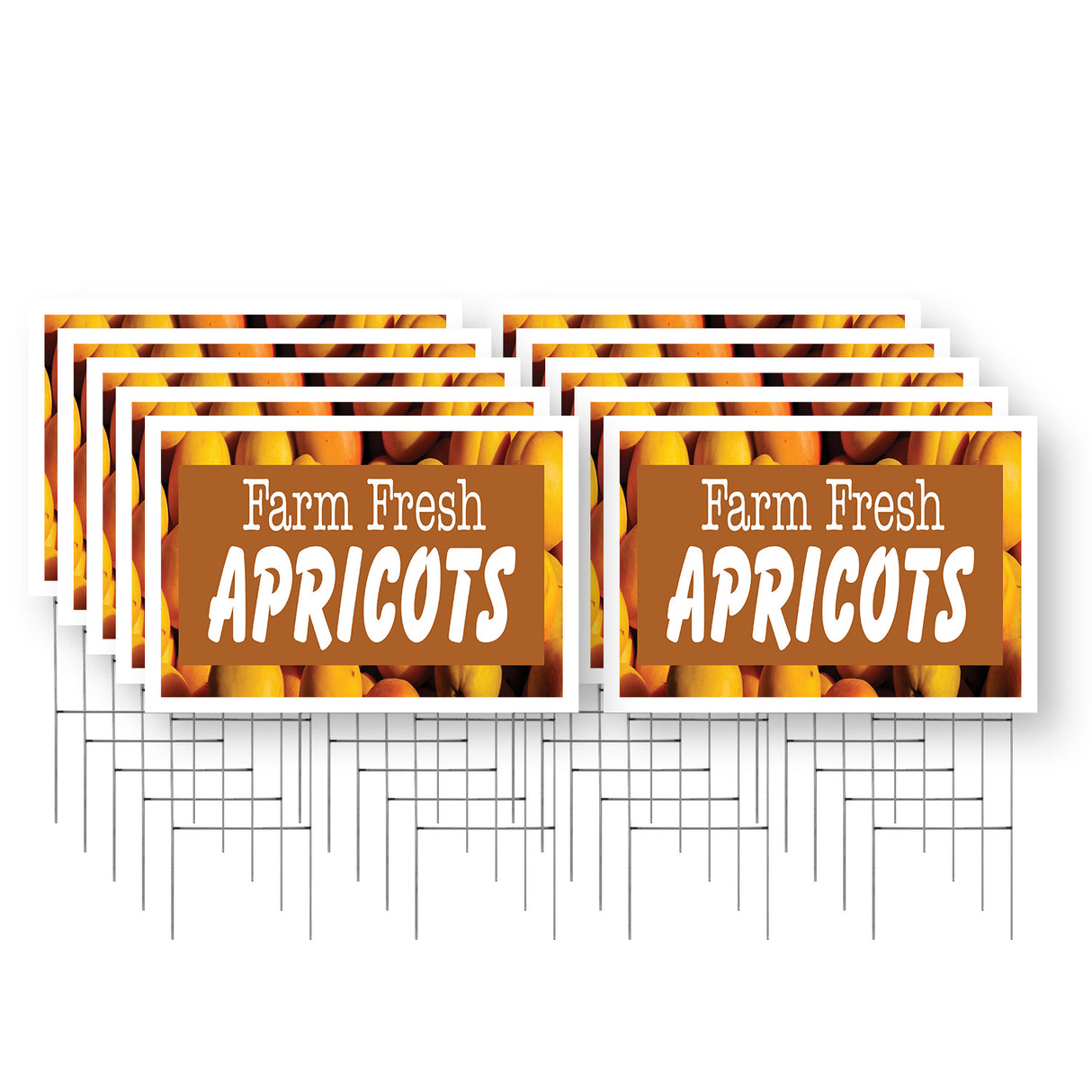 Farm Fresh Apricots