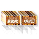 Farm Fresh Apricots