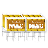 Farm Fresh Bananas
