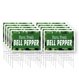 Farm Fresh Bell Pepper
