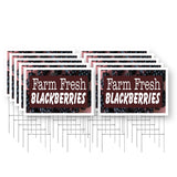 Farm Fresh Blackberries