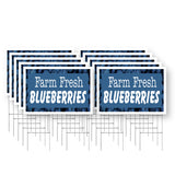 Farm Fresh Blueberries