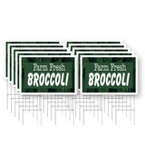 Farm Fresh Broccoli