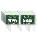 Farm Fresh Cabbage