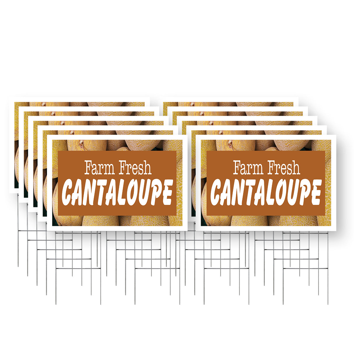 Farm Fresh Cantaloupe