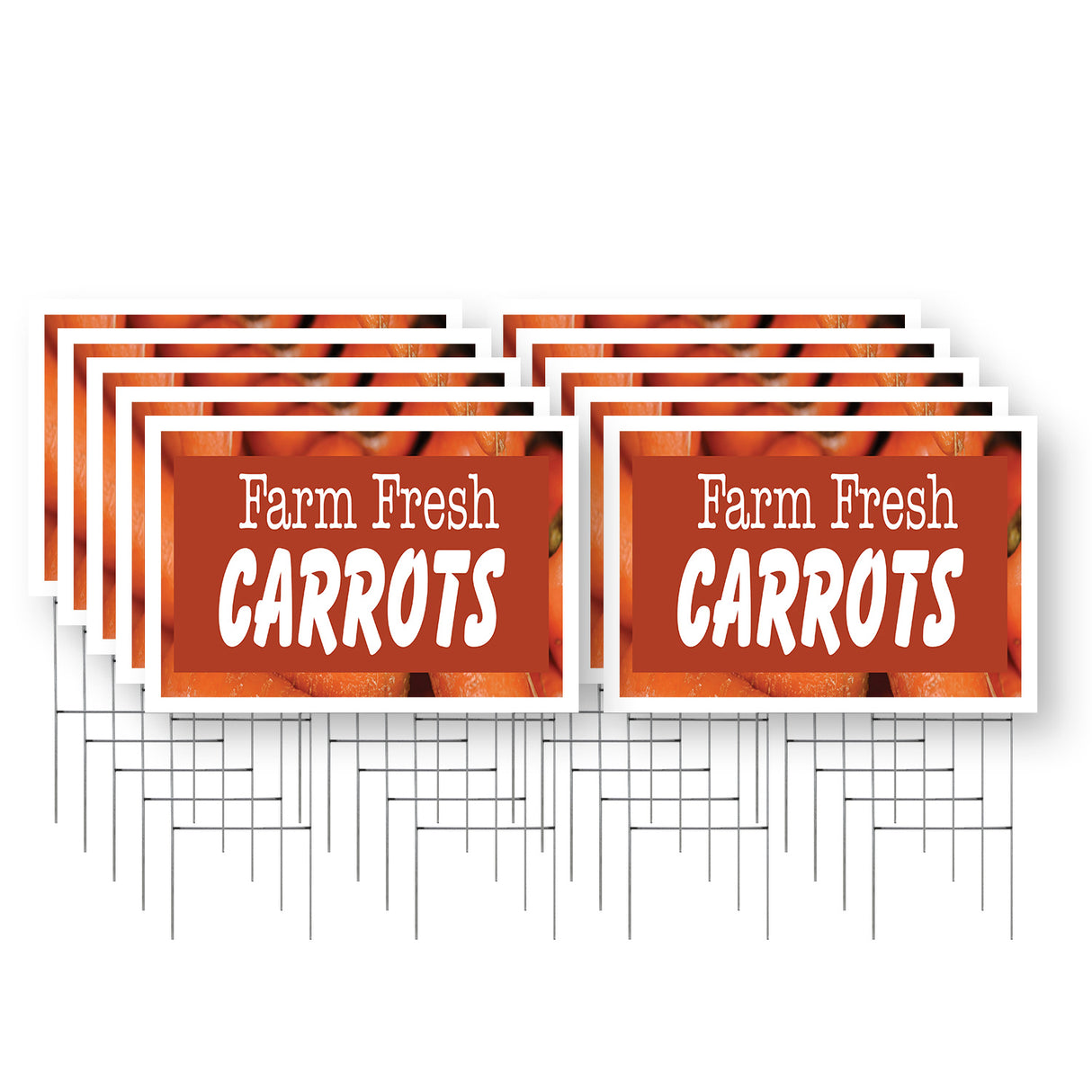 Farm Fresh Carrots