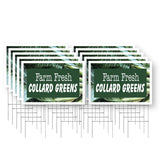 Farm Fresh Collard Greens