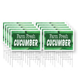 Farm Fresh Cucumber