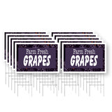 Farm Fresh Grapes