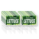 Farm Fresh Lettuce