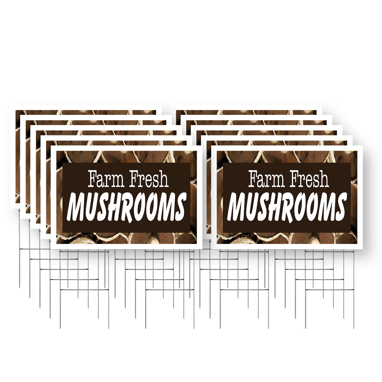 Farm Fresh Mushrooms