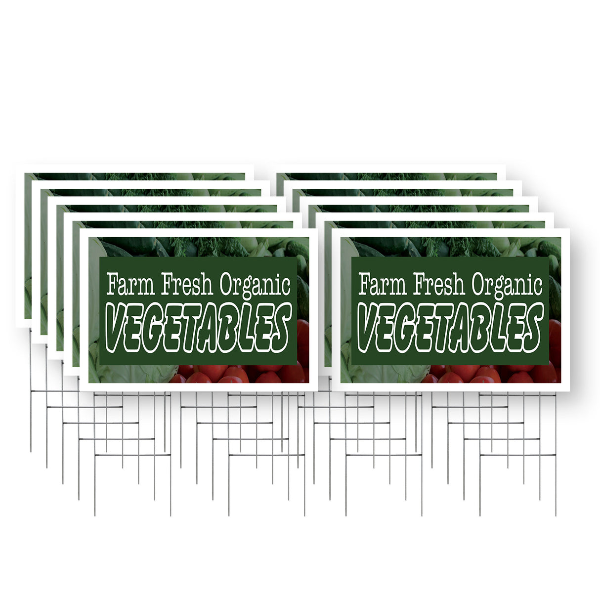 Farm Fresh Organic Vegetables