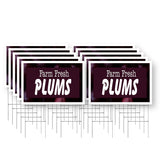Farm Fresh Plums