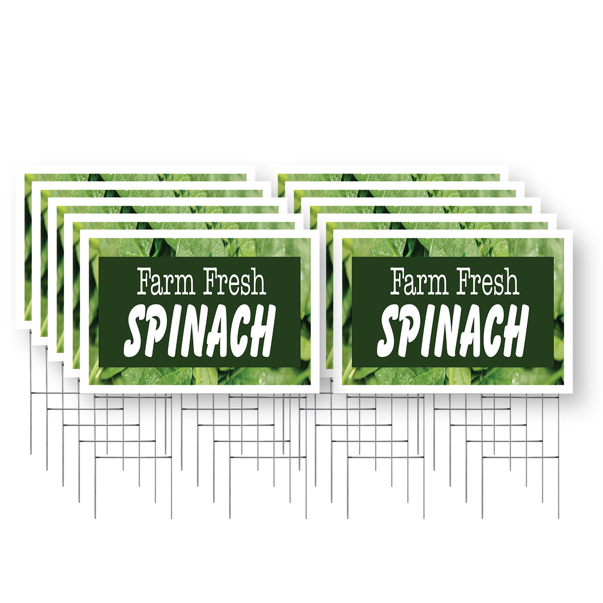 Farm Fresh Spinach