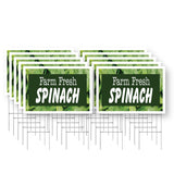 Farm Fresh Spinach