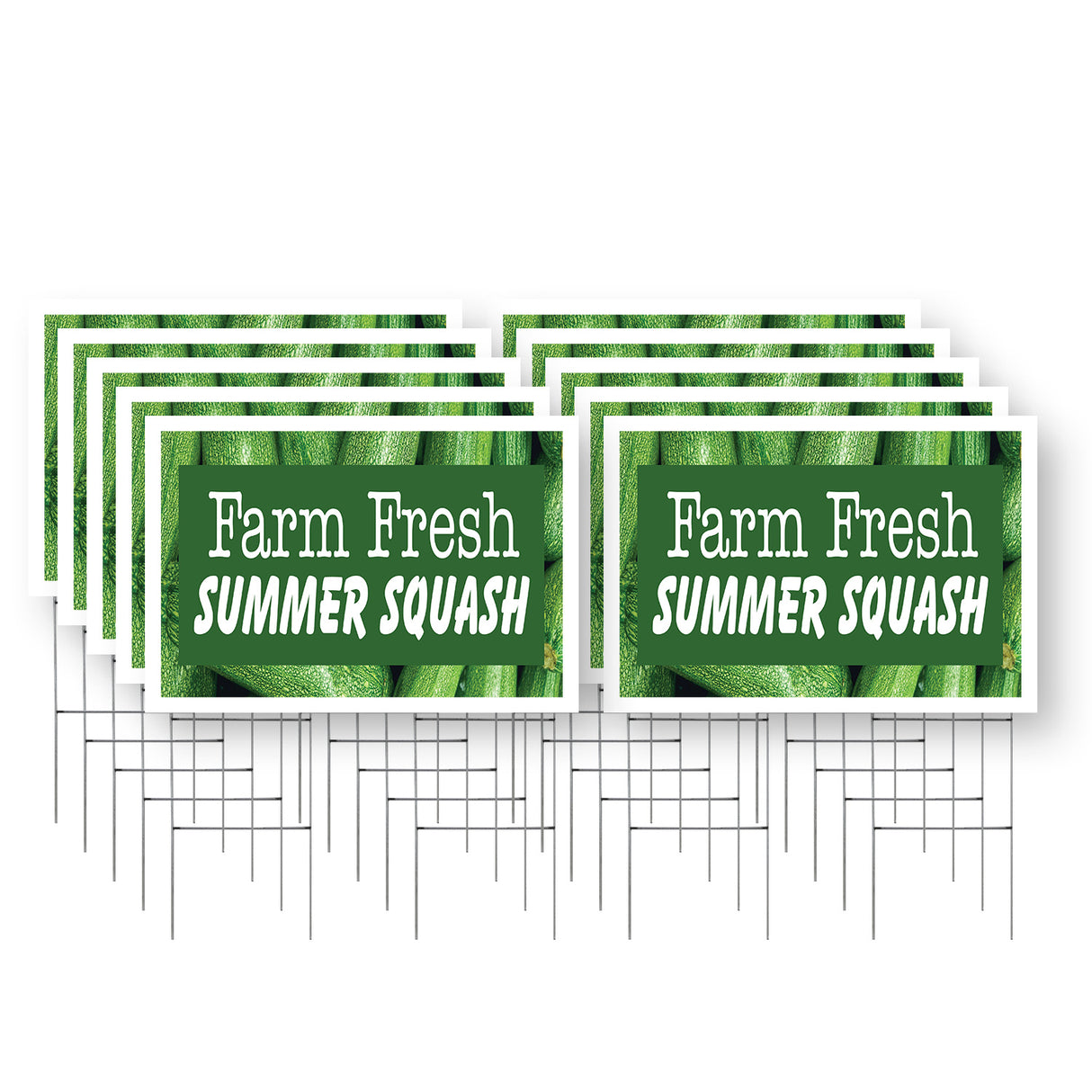 Farm Fresh Summer Squash