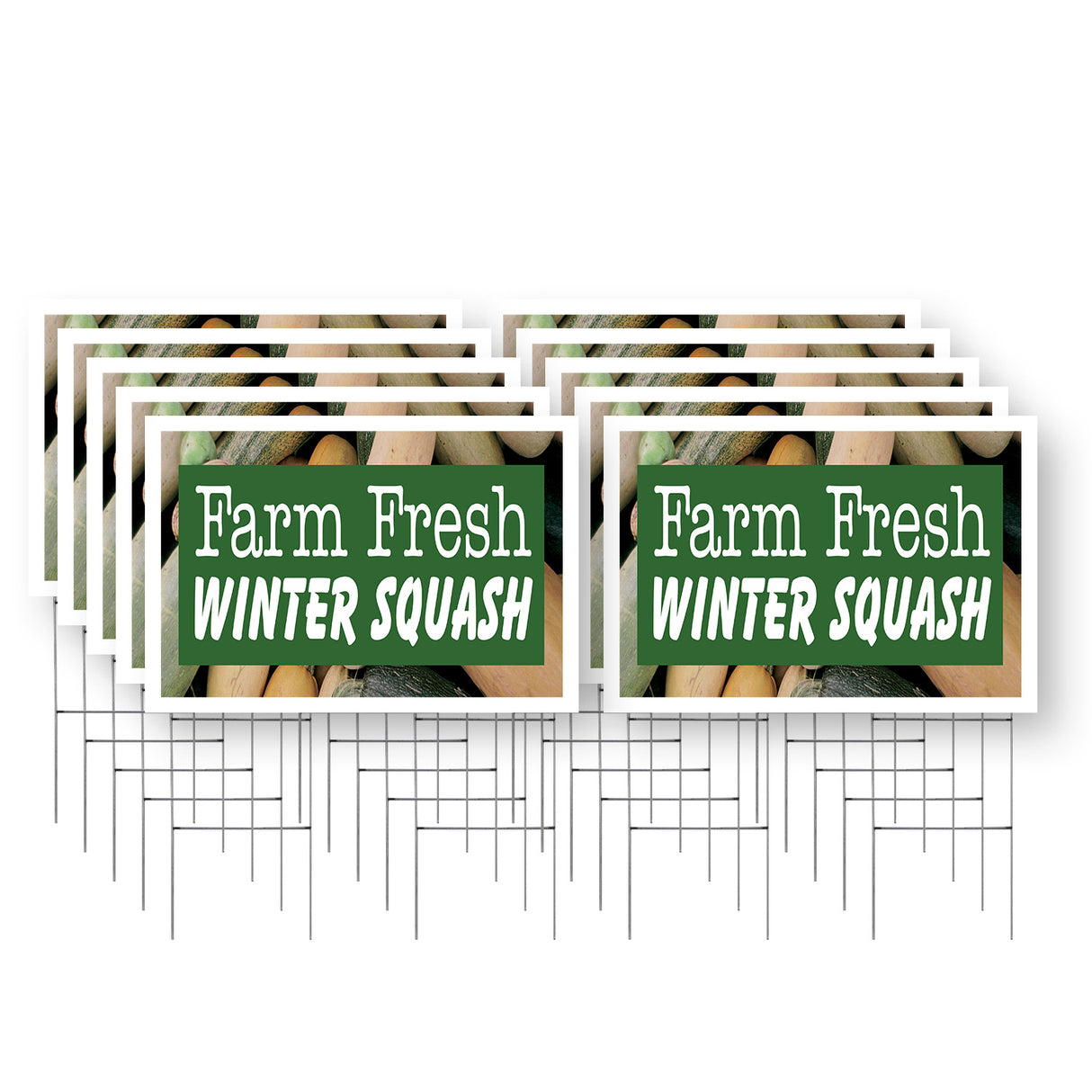 Farm Fresh Winter Squash