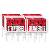 Fresh Strawberries