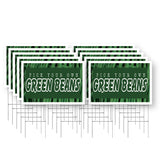 Pick Your Own Green Beans