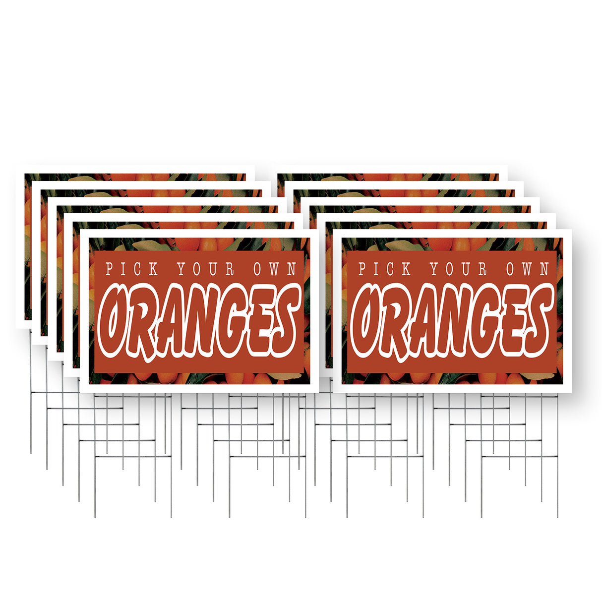 Pick Your Own Oranges