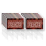Pick Your Own Peaches