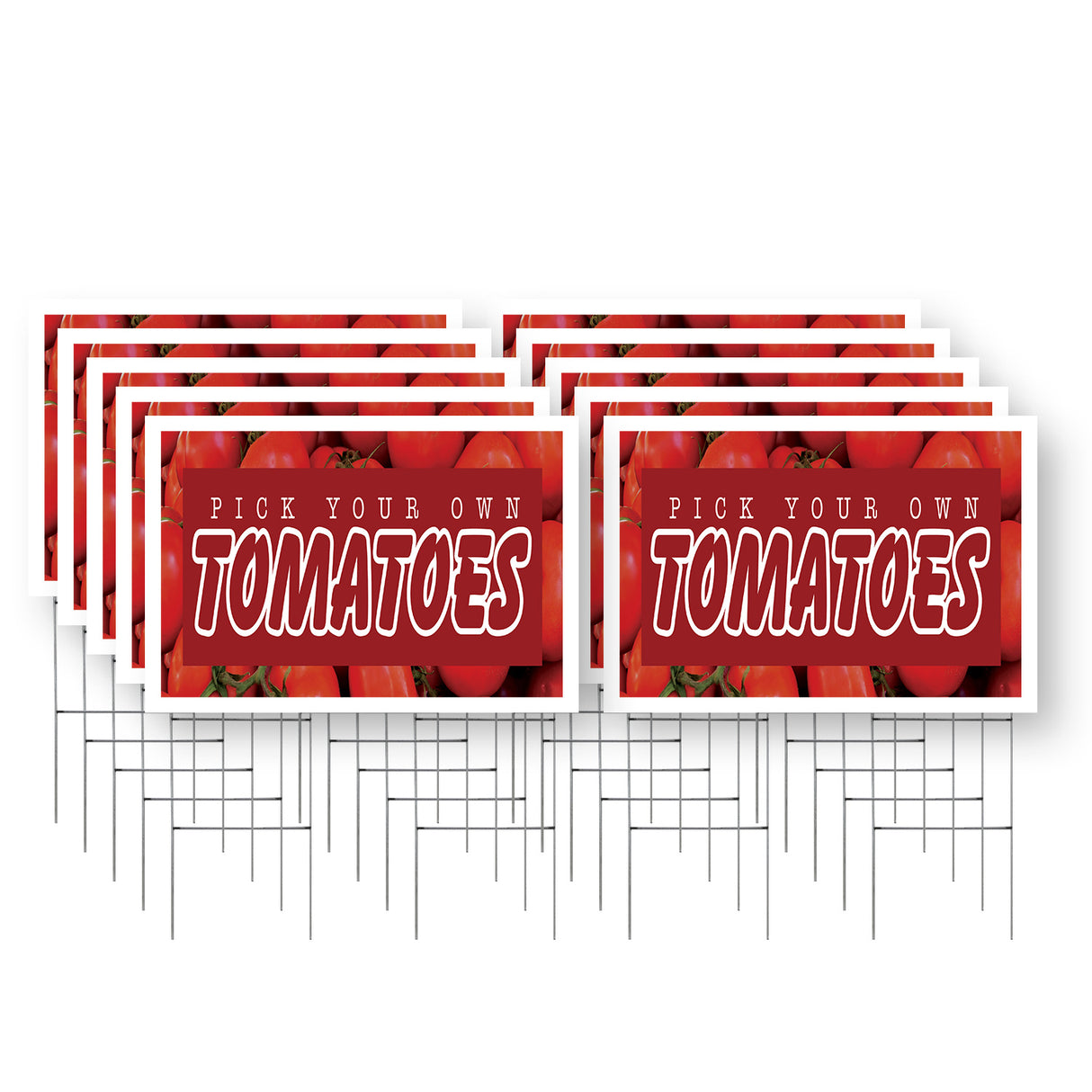 Pick Your Own Tomatoes