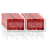 Pick Your Own Tomatoes