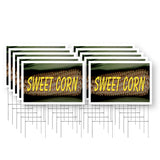 Sweet Corn