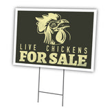 Live Chickens
