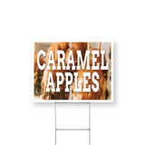 Caramel Apples