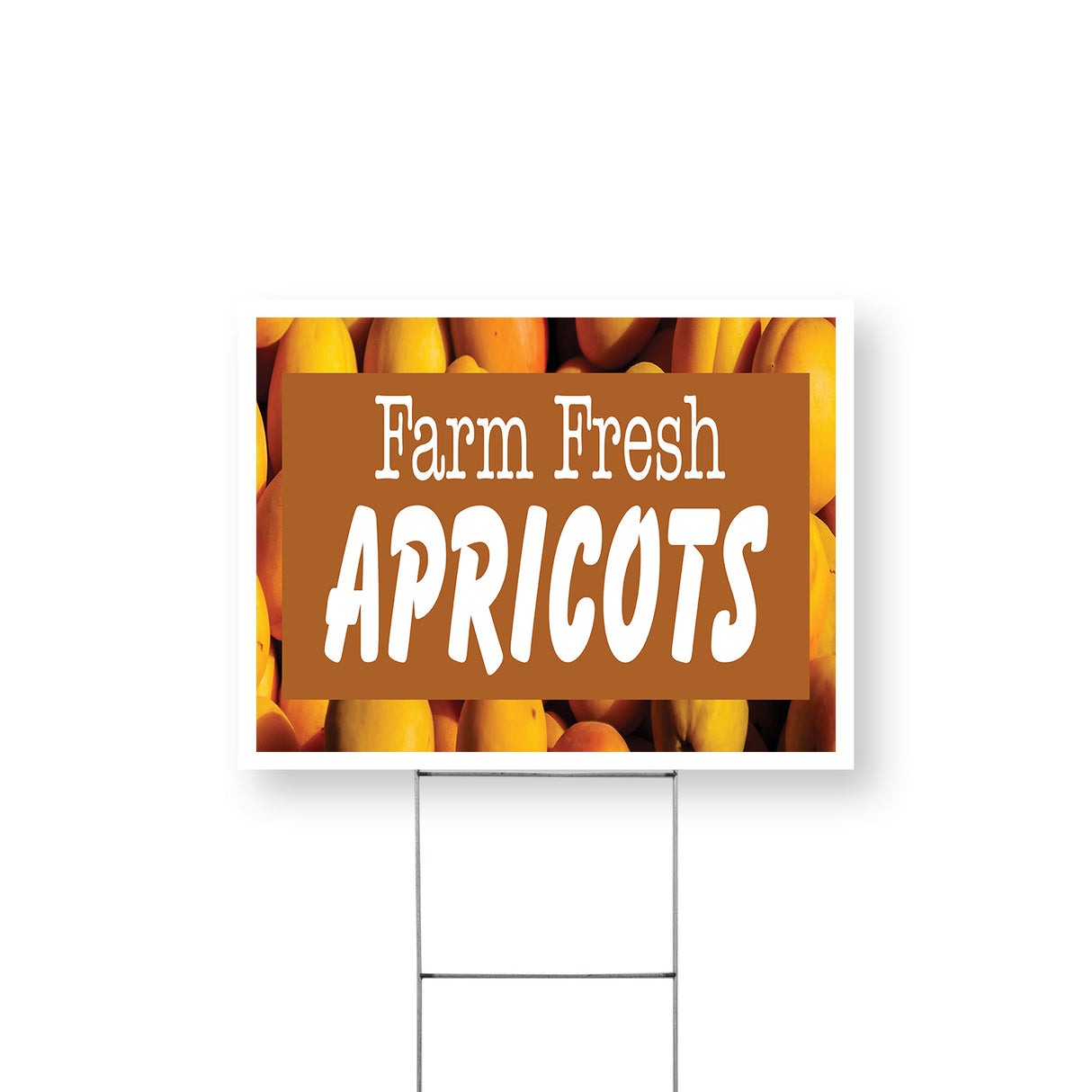 Farm Fresh Apricots