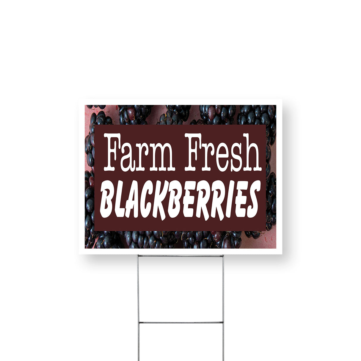 Farm Fresh Blackberries