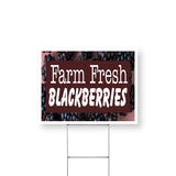 Farm Fresh Blackberries