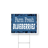 Farm Fresh Blueberries